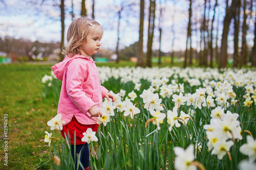 Adorable toddler girl walking in the field with blooming jonquils