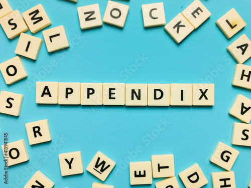Photos APPENDIX word made from square letter tiles on blue background.