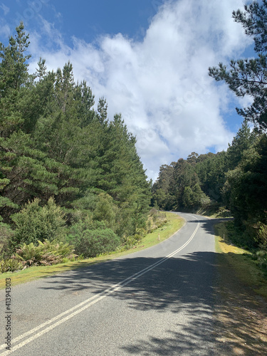 Road in the mountains of Tasmania Tarkine Region 