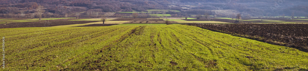 Green agricultural fields and farmlands panorama