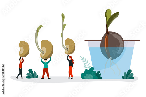 Vector illustration Avocado seed growing in different ways And sprouts emerged from the seeds, respectively, with cartoon characters of women and men carrying the seed
