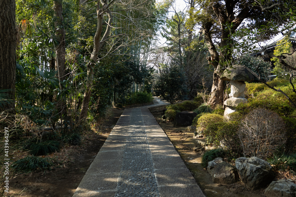 Fototapeta premium Path in the Japanese garden 