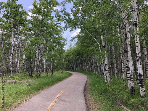 Beautiful Fish Creek Park during the summer in Calgary, Alberta, Canada  photo