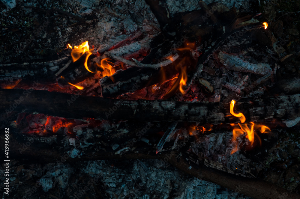 Background bonfire close-up, burning wood, small bright flame fire. Hot red-orange coals from burnt wood. Summer camping in nature Background bonfire close-up, burning wood, small bright flame fire. Hot red-orange coals from burnt wood. Summer camping in nature