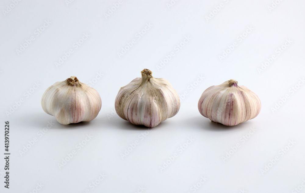 Obraz premium garlic