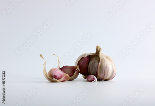 garlic photo