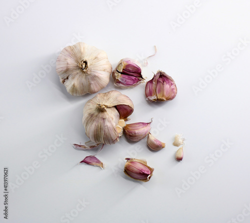 garlic photo