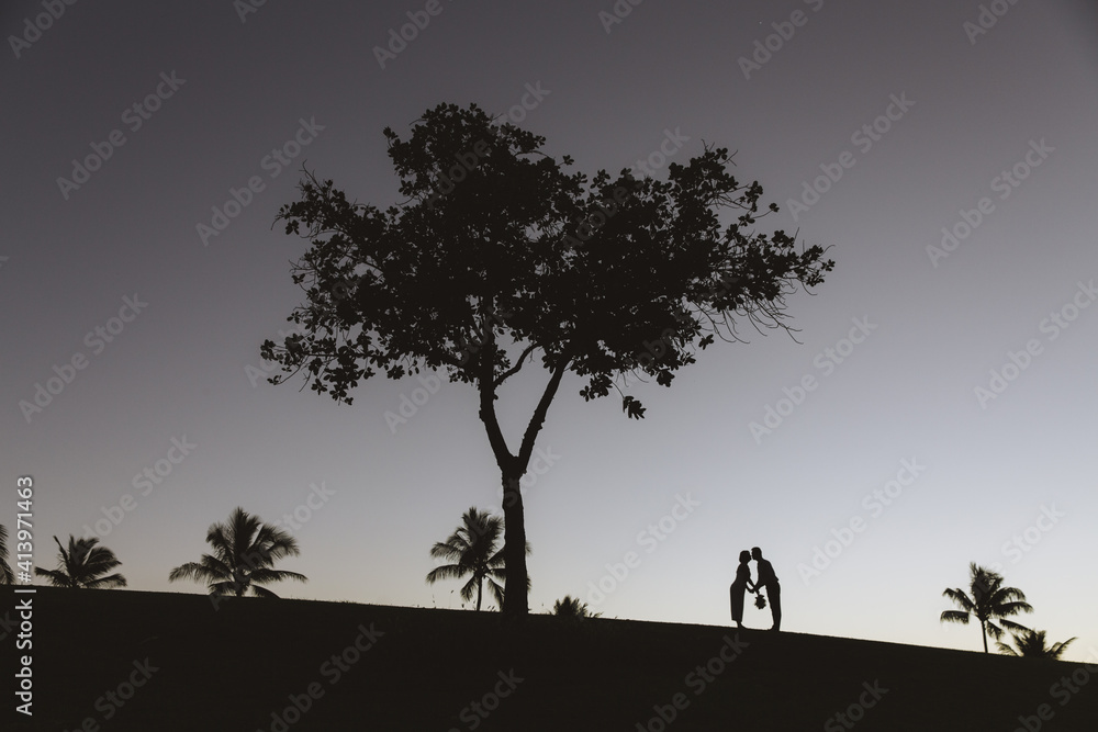 Kakaako Waterfront Park, Tree silhouette photo at sunset, Honolulu, Oahu, Hawaii