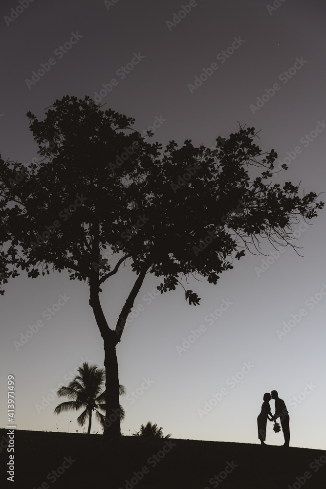 Kakaako Waterfront Park, Tree silhouette photo at sunset, Honolulu, Oahu, Hawaii Kakaako Waterfront Park, Tree silhouette photo at sunset, Honolulu, Oahu, Hawaii