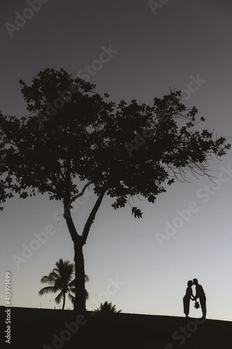 Kakaako Waterfront Park, Tree silhouette photo at sunset, Honolulu, Oahu, Hawaii