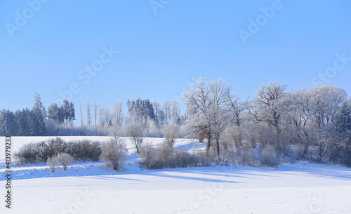 Winter landscape in Bavaria with trees and snow, wide fields covered with snow, in front of a blue sky © leopictures