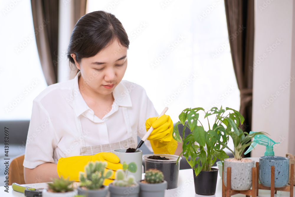 Cheerful happy Asian woman planting a small houseplant Cheerful happy Asian woman planting a small houseplant