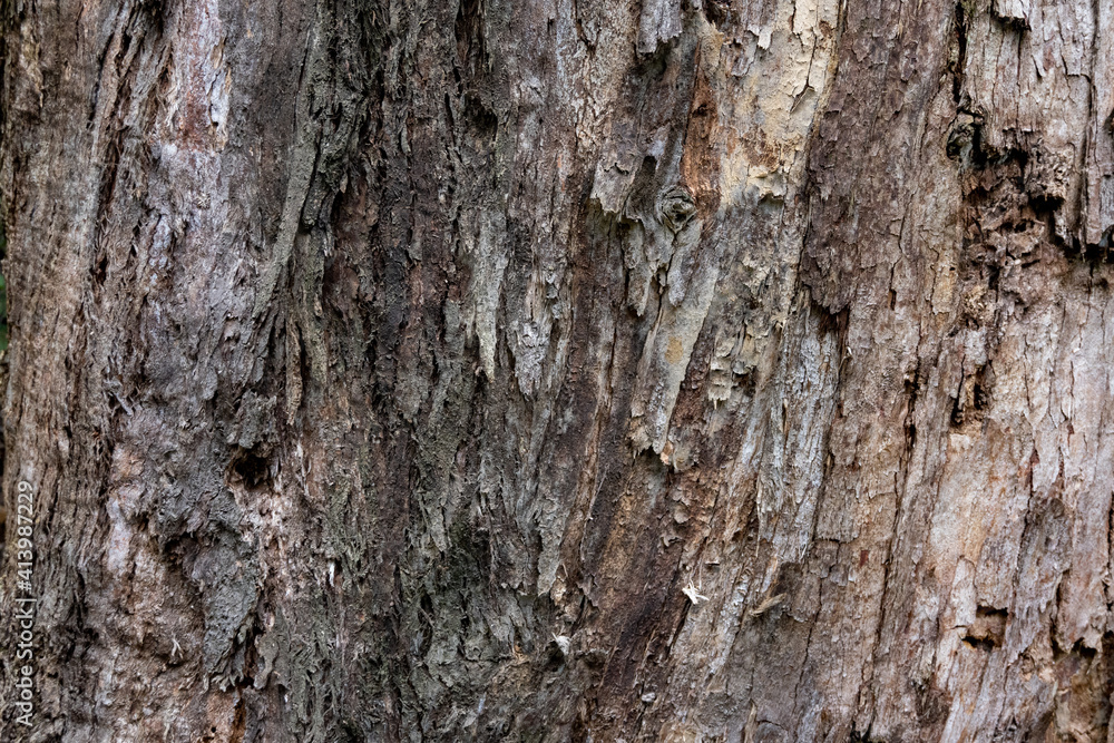 texture texture