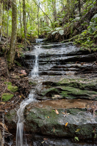 waterfall in the forest