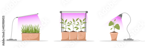 Set of spring seedlings under phyto lamp. Growing gardening plants with purple light. Vegetarian and ecological products. Vector illustration in flat cartoon style. Plant care concept.