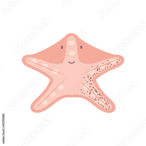 underwater world animal sea life starfish
