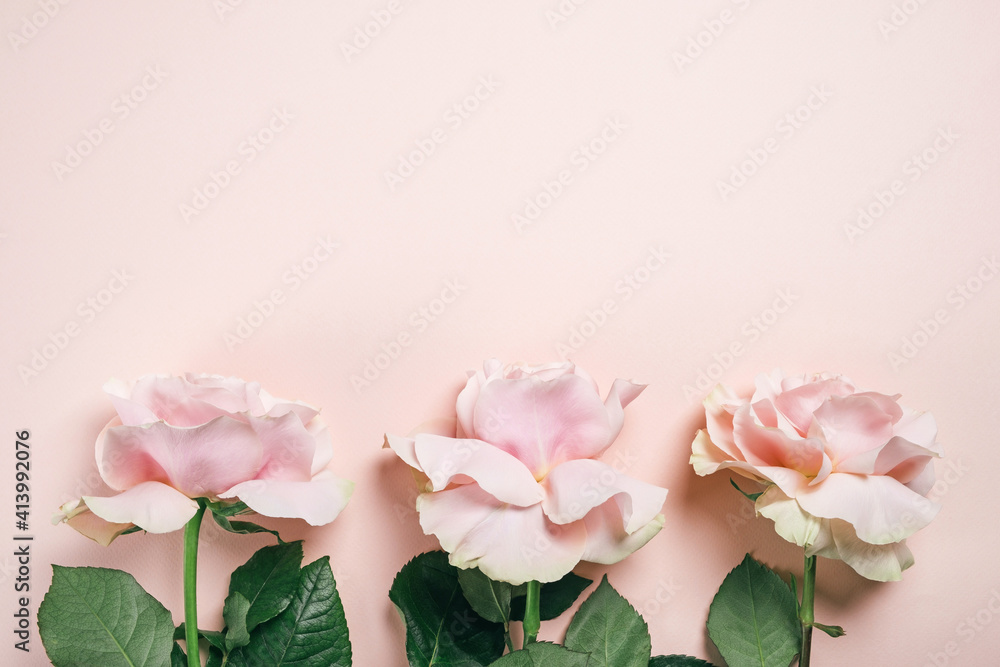 Roses flowers on pastel beige background. Mothers day, womens day, spring composition. Top view, flat lay, copy space Roses flowers on pastel beige background. Mothers day, womens day, spring composition. Top view, flat lay, copy space
