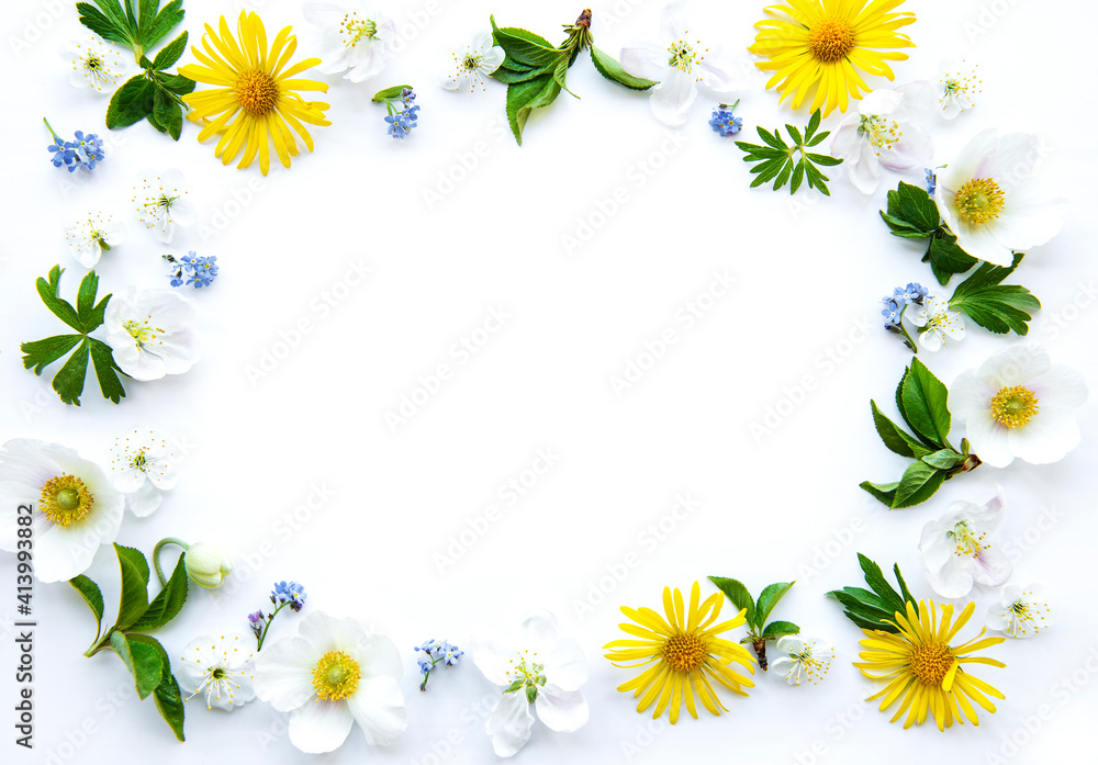 Flat lay frame with spring flowers, leaves and petals
