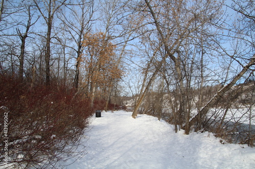 Wallpaper Mural Cold Snowy Trail, Gold Bar Park, Edmonton, Alberta Torontodigital.ca