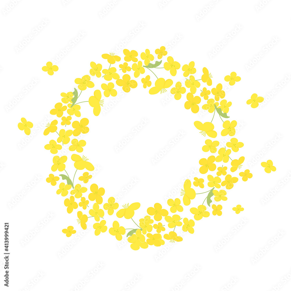 Vector canola flowers round frame illustration