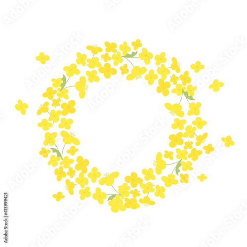 Vector canola flowers round frame illustration