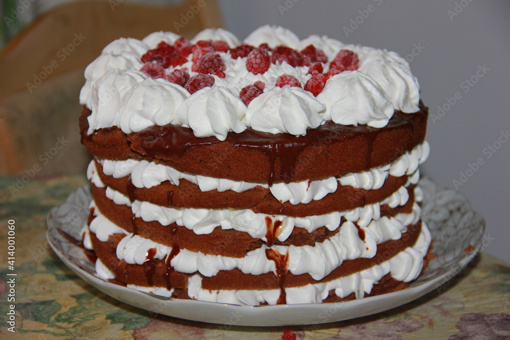chocolate cake chocolate cake