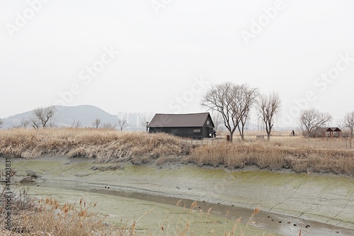 한국의시흥갯골생태공원입니다 photo