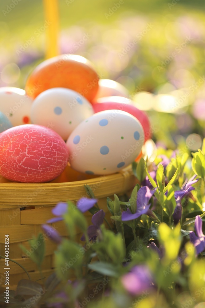 Fototapeta premium Easter holiday.Easter eggs in a yellow basket in purple spring flowers on a blurred spring garden background in the morning sun.Spring festive background.Spring Religious Holiday Symbol