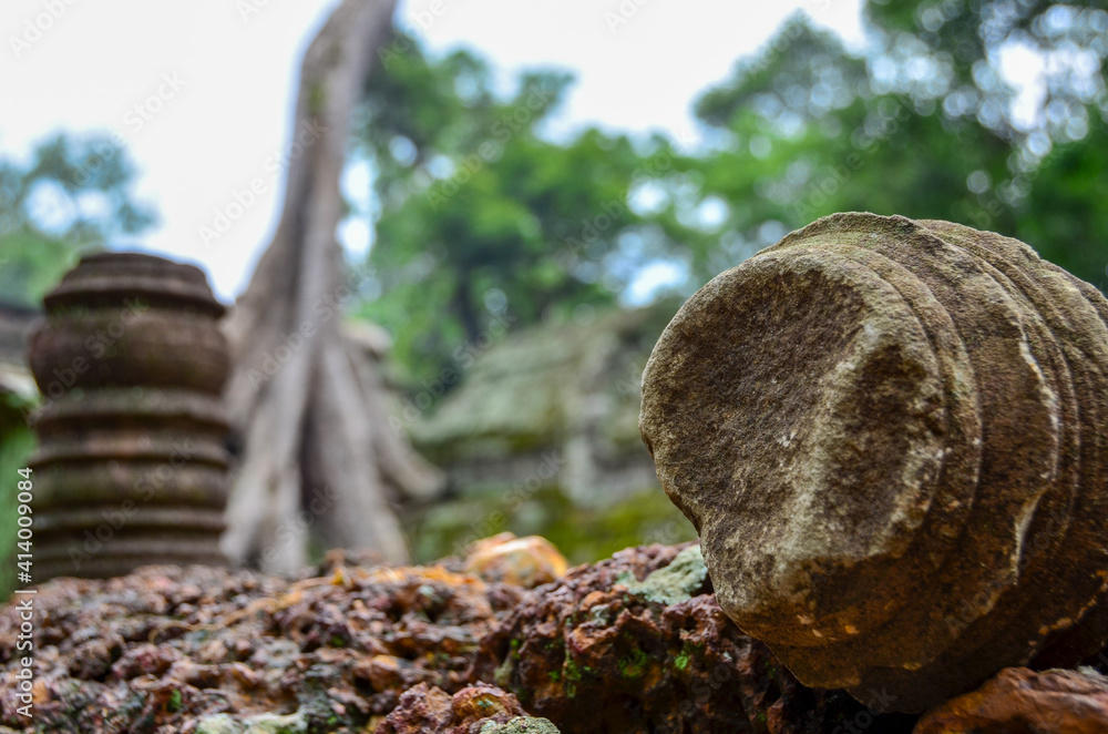 The view of Ta Prohm temple in Siem Reap in Cambodia. Angkor complex.