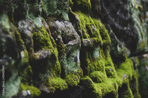 The view of Ta Prohm temple in Siem Reap in Cambodia. Angkor complex. Moss covered stones.