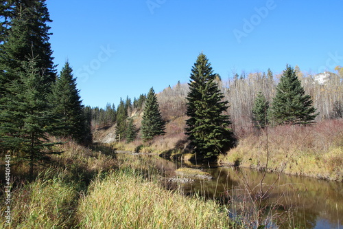 Coming On The Creek, Whitemud Park, Edmonton, Alberta