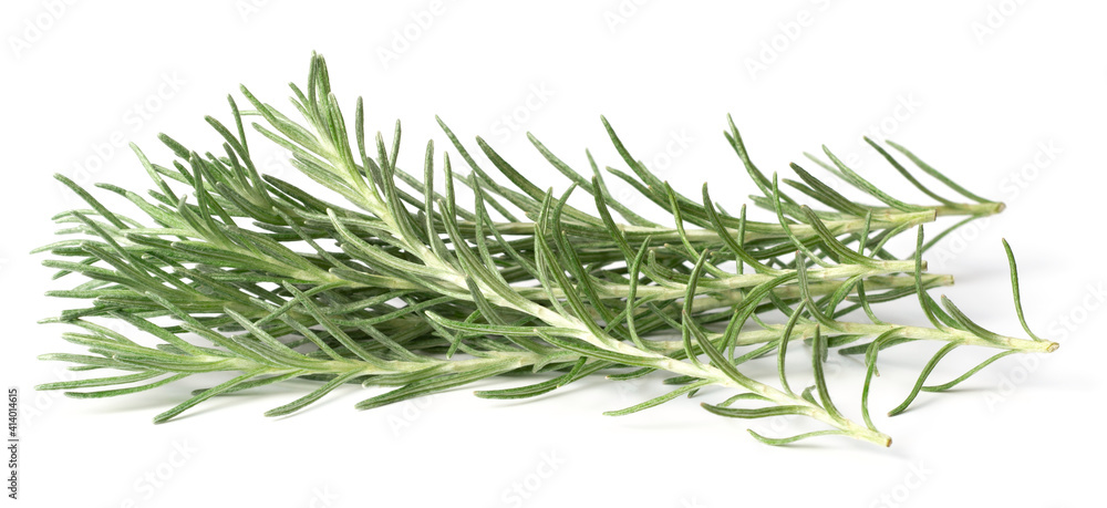 Fototapeta premium fresh Immortelle isolated on white background