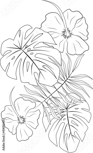 Coloring pages. Fruits  plants  flowers  leaves  trees  berries  beautiful women. Coloring for adults. Anti-stress coloring. Floral  tropical  nature themes to color.