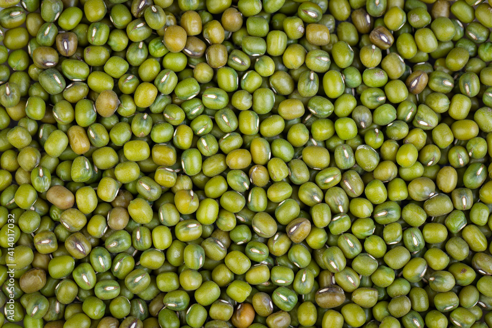 Close-up of Mung bean for background. Green Bean