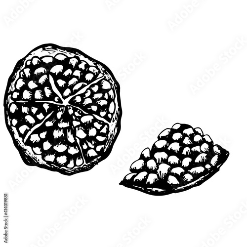 Hand drawn cut black pomegranate isolated on white background. Sketch art illustration