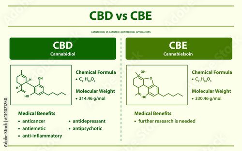 CBD vs CBE, Cannabidiol vs Cannabielsoin horizontal infographic illustration about cannabis as herbal alternative medicine and chemical therapy, healthcare and medical science vector.