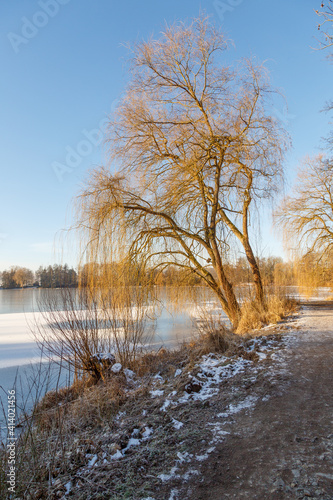 Alter Baum am Ufer der Grube Fernie bei Sonnenaufgang, Großen-Linden, Gießen, Hessen, Deutschland © Christian Dietz