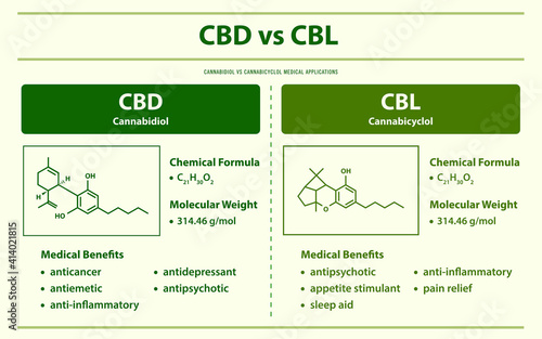 CBD vs CBL, Cannabidiol vs Cannabicyclol horizontal infographic  illustration about cannabis as herbal alternative medicine and chemical therapy, healthcare and medical science vector.