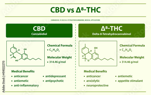 CBD vs ∆8-THC, Cannabidiol vs Delta 8 Tetrahydrocannabinol horizontal infographic illustration about cannabis as herbal alternative medicine and chemical therapy, healthcare and medical vector.