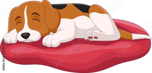 Cute dog cartoon sleep on the pillow