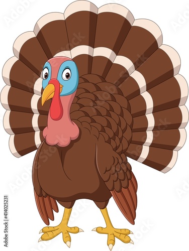 Cartoon turkey on white background