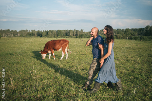 Farmers walk in the field in summer next to a cow