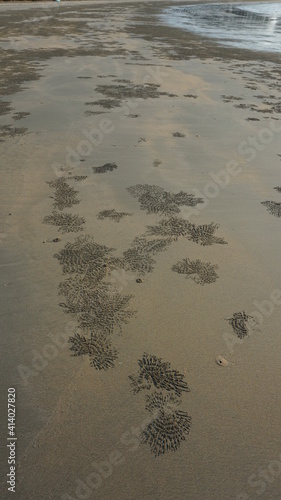 sand bubbles by sand bubbler crabs at the Phra Thong Bay on Ko Phra Thong Island, Southern Thailand, February