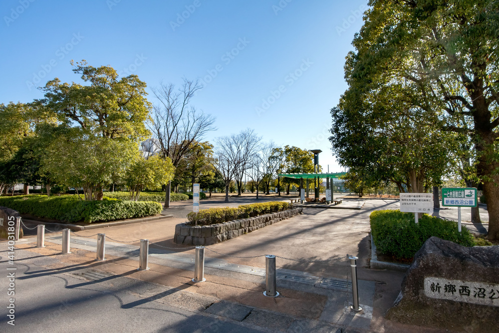 埼玉県川口市江戸の新郷西沼公園