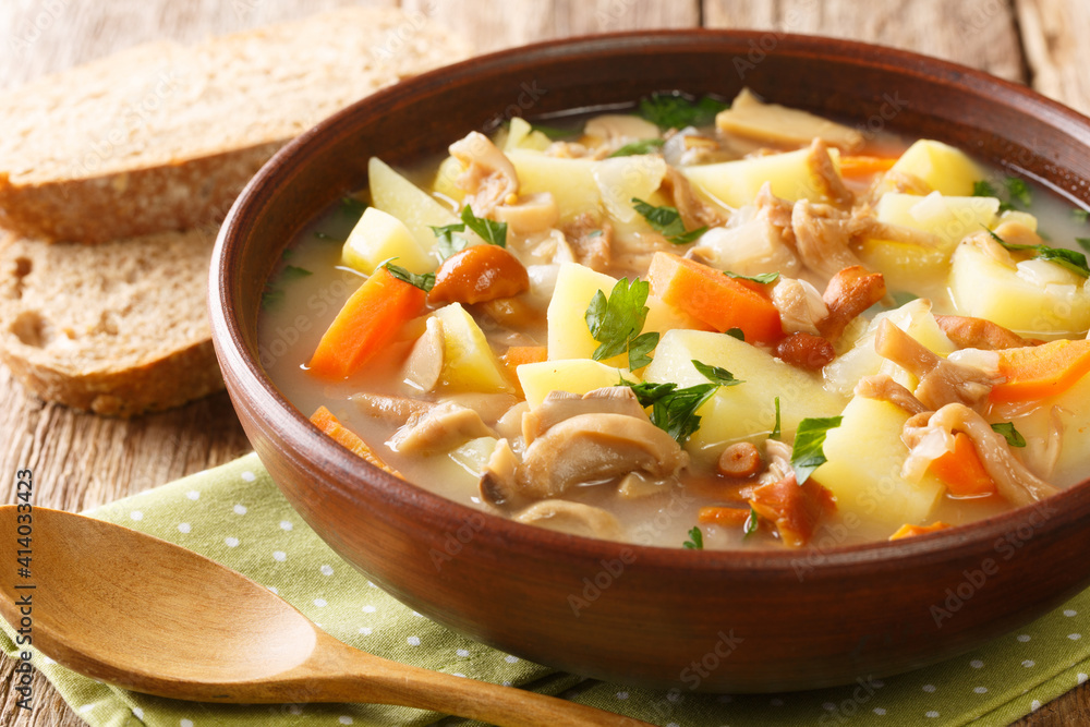 Delicious soup with mushrooms, potatoes, carrots and onions close-up in a bowl on the table. horizontal Delicious soup with mushrooms, potatoes, carrots and onions close-up in a bowl on the table. horizontal