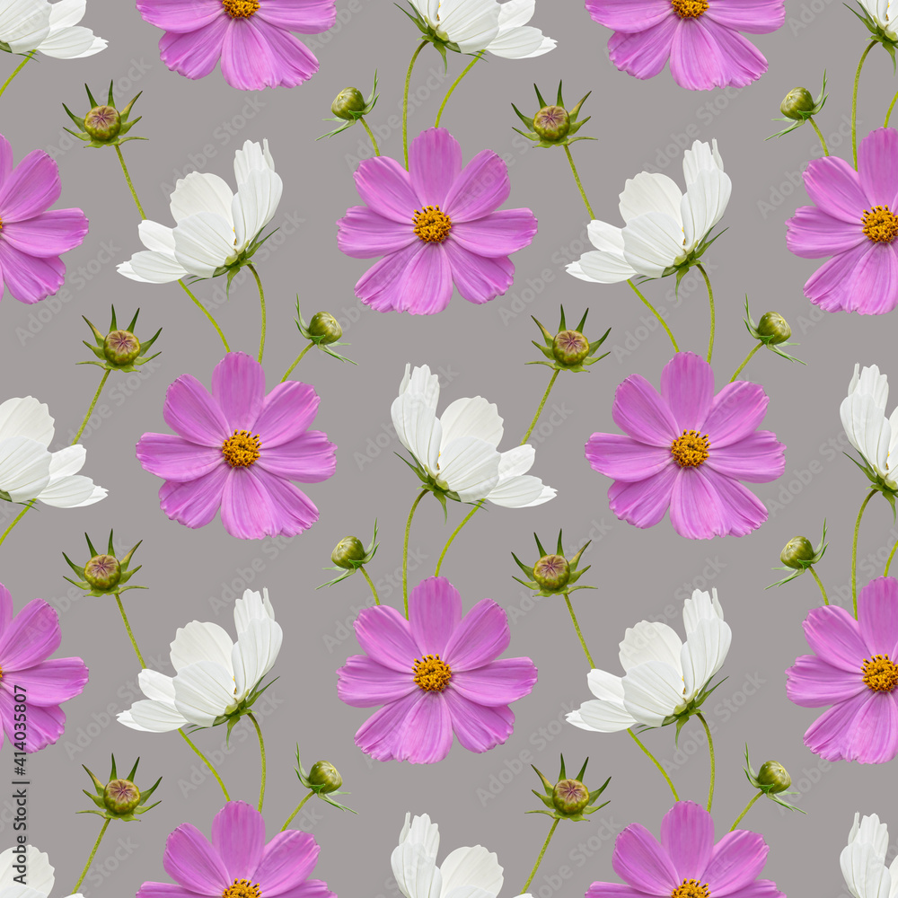 Colorful floral seamless pattern with cosmos flowers collage on gray background. Stock illustration.