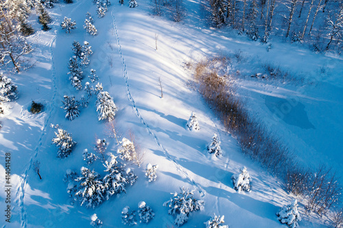 Birds eye view of countryside during cold winter with deep snow with tracks. Captured in morning during sunrise.