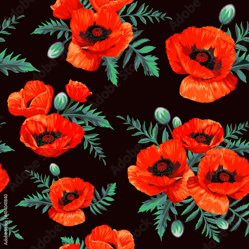 Seamless pattern with red Common Poppy  Papaver rhoeas  flowers isolated on black background. Spring illustration.