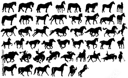 Silhouettes Horses - Black Horses 