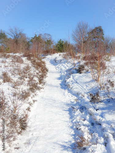 Sallandse Heuvelrug natural park snow covered during winter weather in the Netherlands by Holterberg Holten Overijssel Holland photo